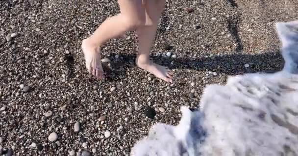Child Feet Walking Beach Pebbles Water Children Walking Beach Concept — Stockvideo
