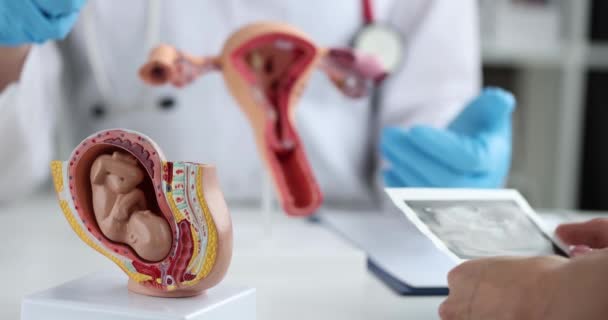 婦人科の予約で妊婦は胎児や子宮の超音波について説明します 妊娠計画と健康診断の概念 — ストック動画