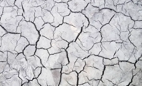 Kuru zeminde çatlağın yakın plan görüntüsü. Ekolojik afet küresel kuraklık kavramı