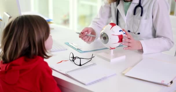 Κορίτσι Παιδί Εξετάζει Ανατομικό Μοντέλο Του Ματιού Οφθαλμίατρος Δομή Του — Αρχείο Βίντεο