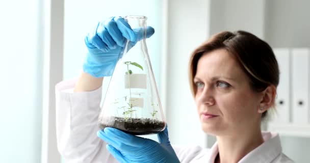 Επιστήμονας Βιολόγος Γεωλόγος Εξετάζει Φλασκί Φύτρα Γης Καλλιέργεια Οικολογικών Λαχανικών — Αρχείο Βίντεο