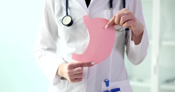 Doktor Elinde Bağırsağın Dekoratif Kağıt Modelini Tutuyor Gastroenteroloji Sağlıklı Sindirim — Stok video