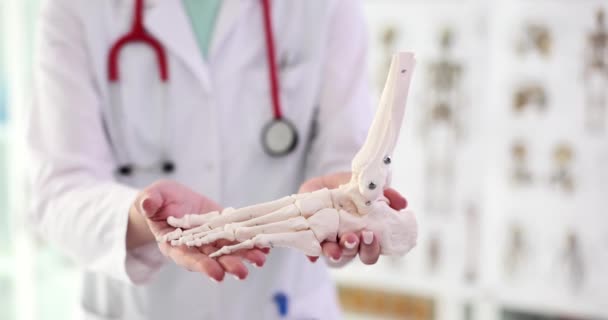 Traumatologe Orthopäde Zeigt Skelett Eines Menschlichen Beines Arthrose Der Unteren — Stockvideo