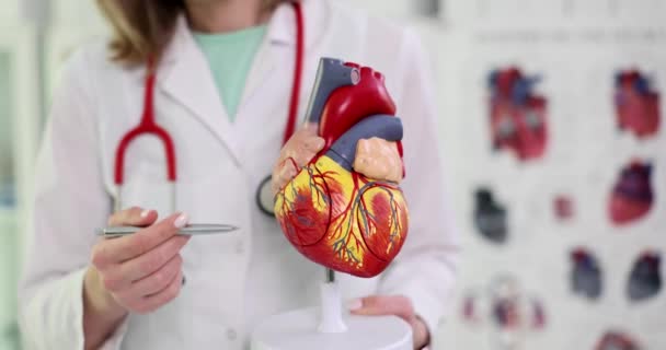 Кардиолог Показывает Анатомию Сердца Кровеносных Сосудов Диагностика Лечение Сердечно Сосудистых — стоковое видео