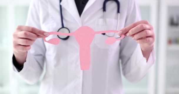 Ginecólogo Médico Sostiene Modelo Órganos Genitales Femeninos Papel Rosa Modelo — Vídeos de Stock