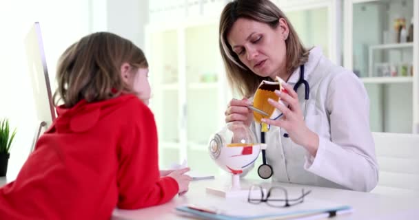 Oftalmolog Učí Dívku Anatomii Očí Klinice Unavené Oči Dětí — Stock video
