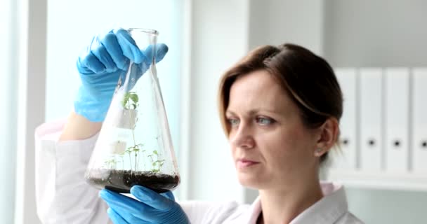 Mulher Cientista Botânico Cuidadosamente Olha Para Brotos Plantas Verdes Frasco — Vídeo de Stock