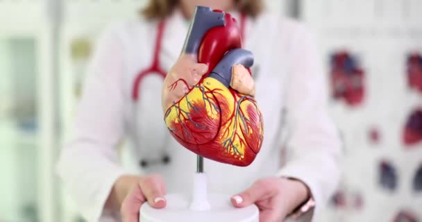 Кардиолог Офтальмолог Проводит Пластическую Модель Крупного Плана Сердца Артериальная Гипертензия — стоковое видео