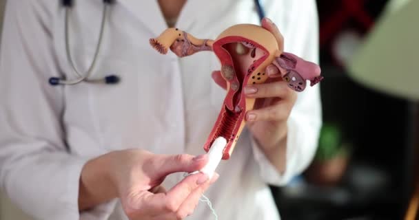 Gynecologist Demonstrates Model Female Reproductive System Hygienic Tampon Woman Health — Stock Video