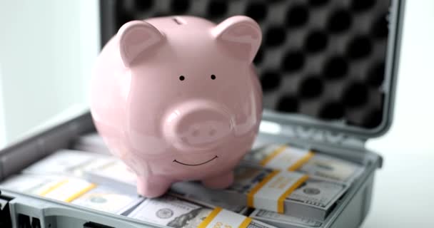 Banco Piggy Cor Rosa Empilha Dólares Notas Dinheiro Para Caso — Vídeo de Stock