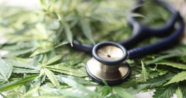 Foglia Verde Cannabis Sativa Con Stetoscopio Medico Legalizzazione Della Marijuana — Video Stock