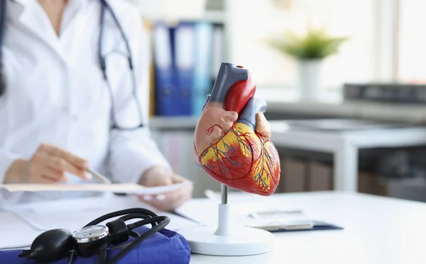 Anatomical model of the heart on the doctors table, close-up. Workplace of a cardiologist, preparation for transplantation