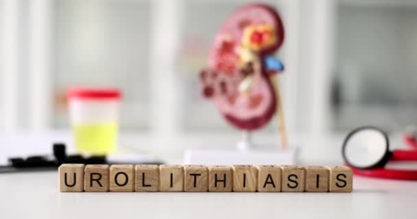 木方块上的尿石症词 背景为人体肾闭锁解剖模型 泌尿系统疾病概念 — 图库视频影像