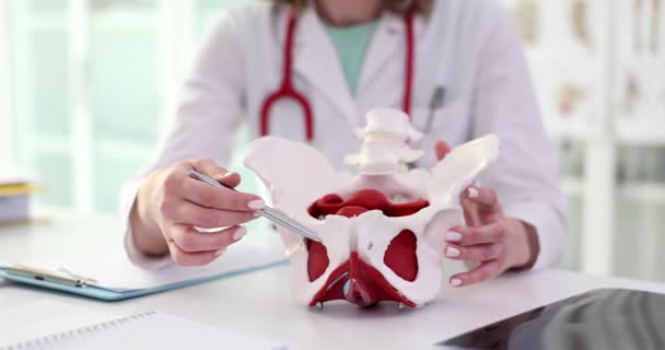 Female Gynecologist Shows Location Pelvis Muscles Doctor Demonstrates Pelvic Bones — стоковое видео