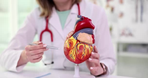 Dottore Cardiologo Mostra Struttura Cuore Primo Piano Artificiale Modello Trattamento — Video Stock