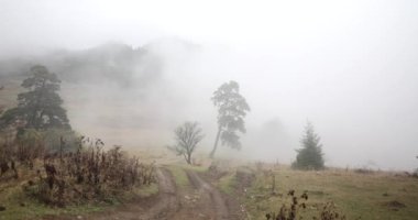 Sisli günde dağlarda ve dağ tepelerinde yağmurlu hava. Georgia 'da güzel bir sonbahar ormanında sabah sisi.