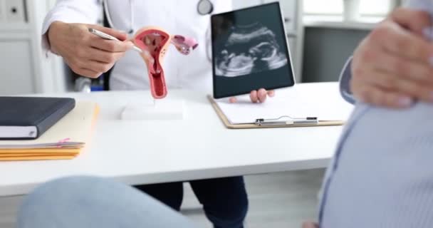 婦人科医は 妊娠中の女性に胎児の女性の生殖システムと超音波のモデルを示しています 妊娠管理の考え方 — ストック動画