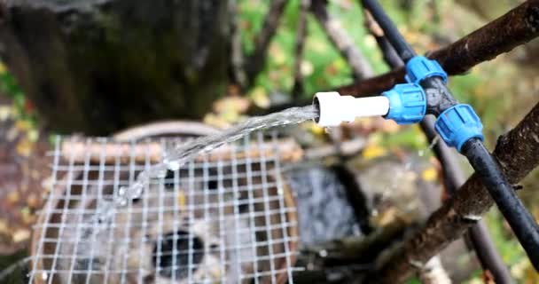 Doğadaki Pvc Borularından Akar Ormandaki Borulardan Temiz Içme Suyu Akar — Stok video
