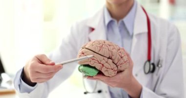Doktor nörolog, beyin kıvrımlarını insan organının anatomik yakın çekim 4k film yavaş çekim modelinde gösteriyor. Nörolojik hastalıkların teşhisi ve tedavisi