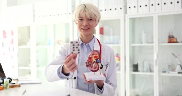 Doctor Nefroloog Houdt Handen Anatomisch Model Van Menselijke Nier Blaren — Stockvideo