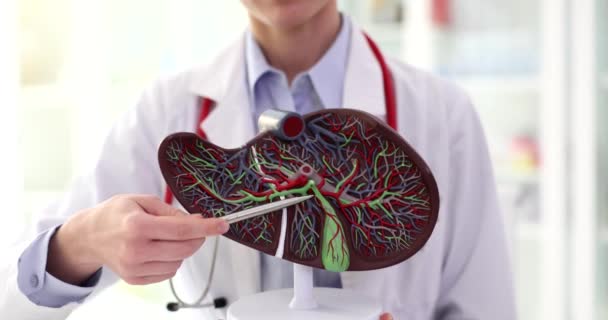 肝科医生展示了胆囊和导管在人体肝脏特写4K电影慢动作解剖模型 胆石症概念的诊断与治疗 — 图库视频影像