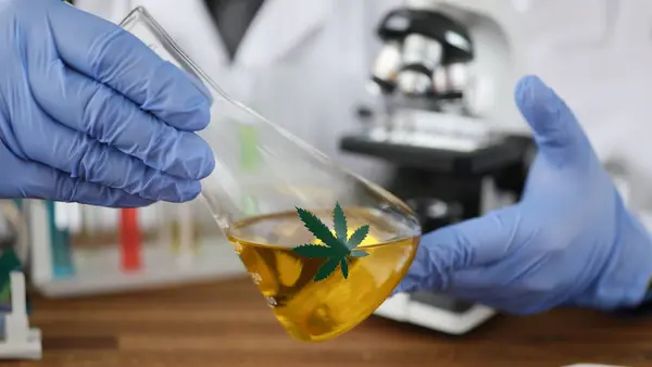 Käsineet Pitäen Lasipulloa Hamppuöljyllä Opiskella Lääketieteellisiä Ominaisuuksia Kannabis Kannabiksen Lääketiede kuvapankkikuva