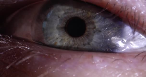 Όμορφη Διορατική Ματιά Άνθρωπος Μάτι Έννοια Διόρθωσης Όρασης Λέιζερ — Αρχείο Βίντεο