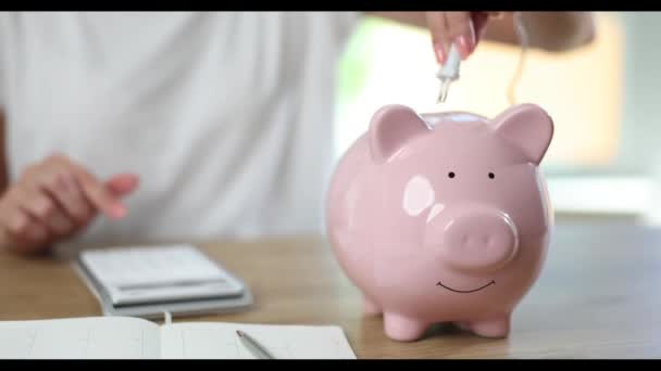 Piggy Bank Con Enchufe Cable Eléctrico Persona Calcula Los Costos — Vídeos de Stock