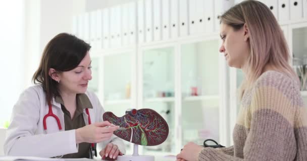 クリニック4K映画のスローモーションで解剖モデルの患者に肝臓の構造を示す医師 肝炎と肝硬変の診断と治療について — ストック動画
