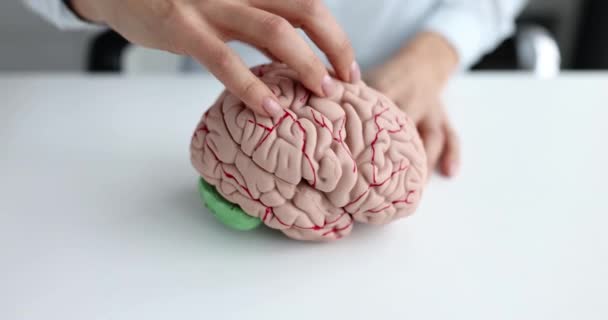 Жіноча Рука Знущається Над Людським Мозком Розслабляючий Розвантажуючий Мозок Концепції — стокове відео