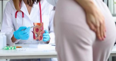 Doctor holds a model of unhealthy lower rectum with inflamed vascular structures. Patient with hemorrhoid problem at medical appointment concept