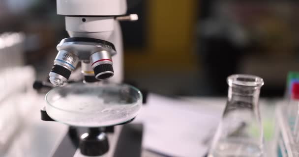 Microscope Petri Dish Laboratory Petri Dish Microorganisms Glass Dish — Stock Video