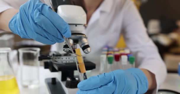 Scientist Puts Test Litmus Paper Test Tube Clear Liquid Acidity — Stockvideo