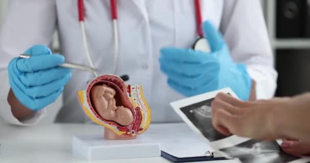 Pregnant Woman Holds Ultrasound Sonogram Communicates Gynecologist Fetal Development Weeks — Stockvideo