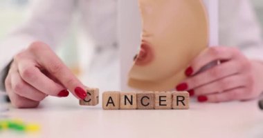 Doktor onkolog kadın göğsünün anatomik modelini tutuyor ve klinikte 