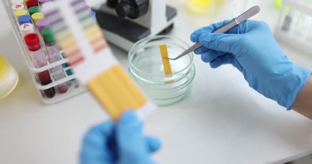 Scientifique Chimiste Vérifier Acidité Liquide Avec Papier Tournesol Laboratoire Gros — Video