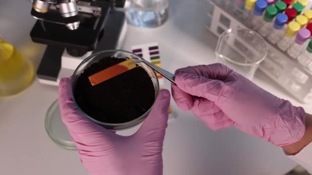 Forskare Kemist Tillämpa Lackmus Papper Till Petriskål Med Jord Laboratorium — Stockvideo