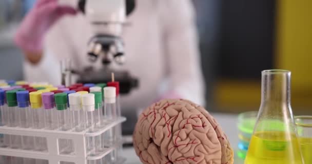 Ученый Химик Проводит Микроскопическое Исследование Перед Искусственной Моделью Человеческого Мозга — стоковое видео