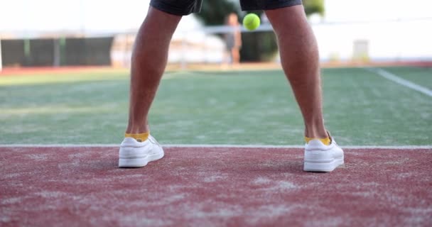 テニススーツの脚男は晴れた日にテニスをするコートで時間を過ごす プレイヤーはテニスラケットを保持し 裁判所でテニスボールをノック — ストック動画