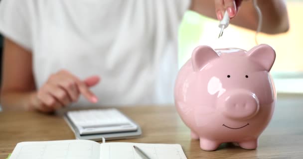 Piggy Bank Com Plugue Cabo Elétrico Uma Pessoa Conta Custos — Vídeo de Stock