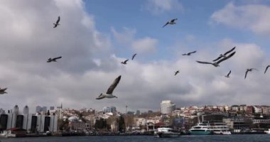 Şehirdeki 4K filminde birçok martı denizin üzerinde uçuyor. Şehir manzarası kavramı