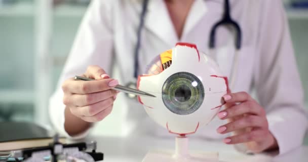 医生展示了眼部的解剖模型 眼科医生咨询 医学教育 — 图库视频影像