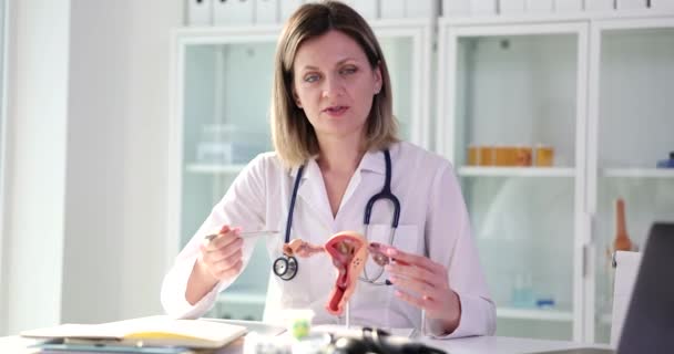 妇科医生说的是一个女性生殖系统 一个特写 不孕症治疗 解剖模型子宫 — 图库视频影像