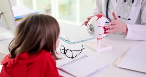 Ребенок Смотрит Анатомическую Модель Глаза Крупным Планом Ребенок Оптометрист Посетитель — стоковое видео