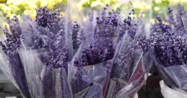 Small bouquets of fragrant fresh lavenders in market. Beautiful purple flowers
