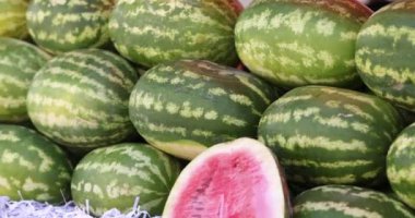 Lots of ripe juicy watermelons on market. Healthy food and vitamins in watermelon concept