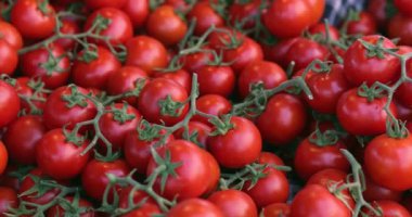 Ripe juicy red tomatoes on market. Farming organic vegetables and healthy nutrition vitamins.