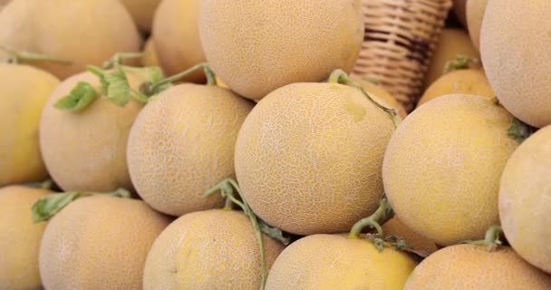 Świeży Dojrzały Soczysty Melon Rynku Zdrowe Odżywianie Korzyści Płynące Owoców — Wideo stockowe