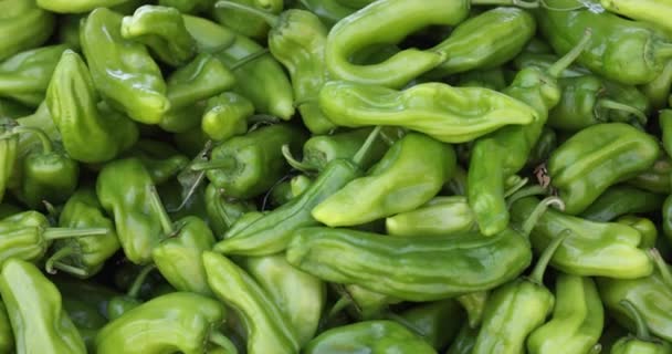 Egy Rakás Zöld Csípős Chili Paprika Organikus Chili Paprika Növényi — Stock videók