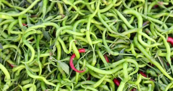 Groene Rode Hete Pepers Close Biologische Chili Peper Plantaardige Ingrediënt — Stockvideo